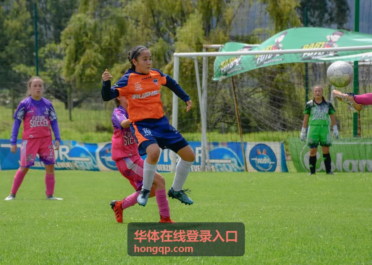 华体在线登录入口进入后数据未刷新的排查示意