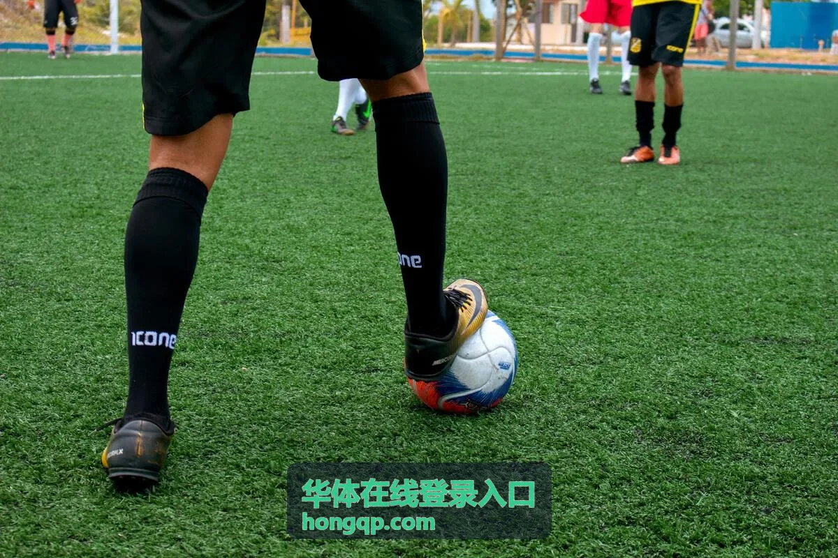 华体在线登录入口密码遗忘时自助重置的步骤