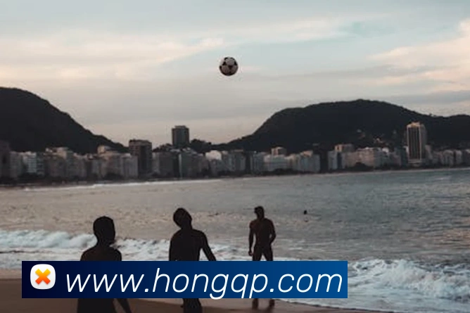 kaiyun体育app官网网页登录入口发展历程